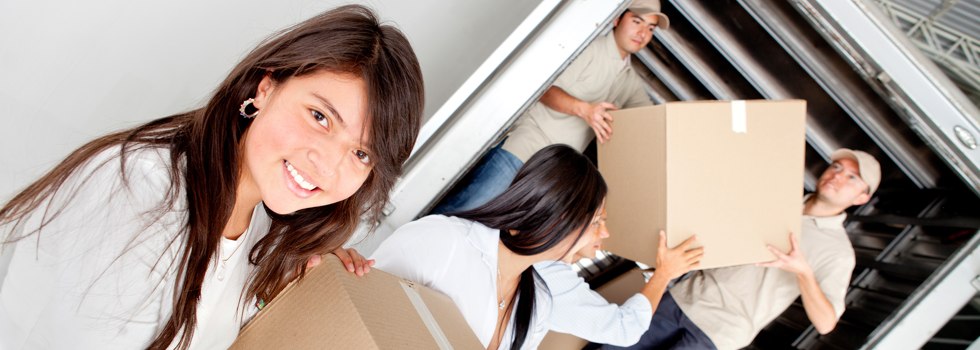 Professional Removalists South Kempsey
